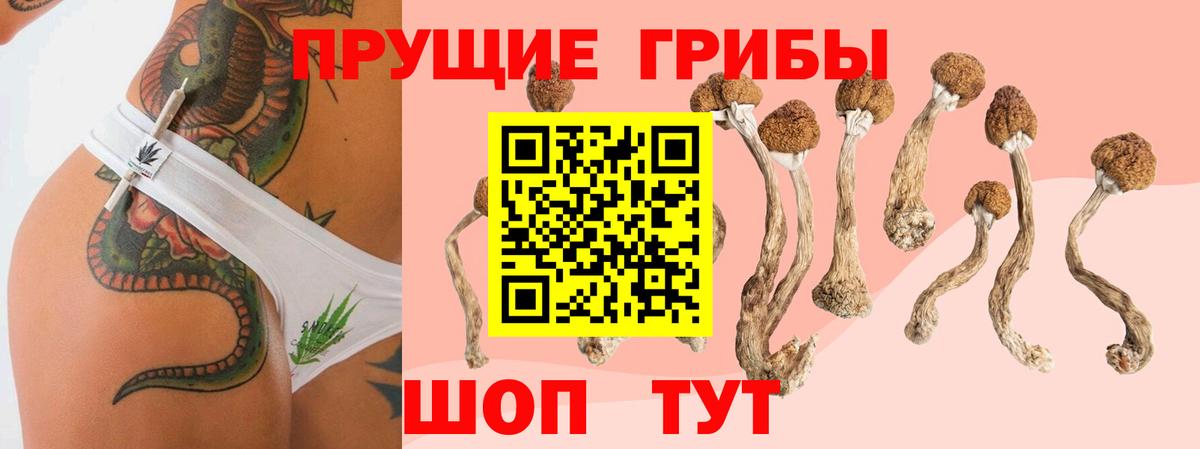 Светлоград  Псилоцибиновые грибы мицелий  Галлюциногенные грибы Cubensis  Вход с VPN 